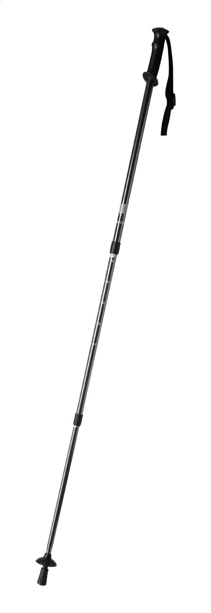Immagine Pulpit bastone trekking nordico