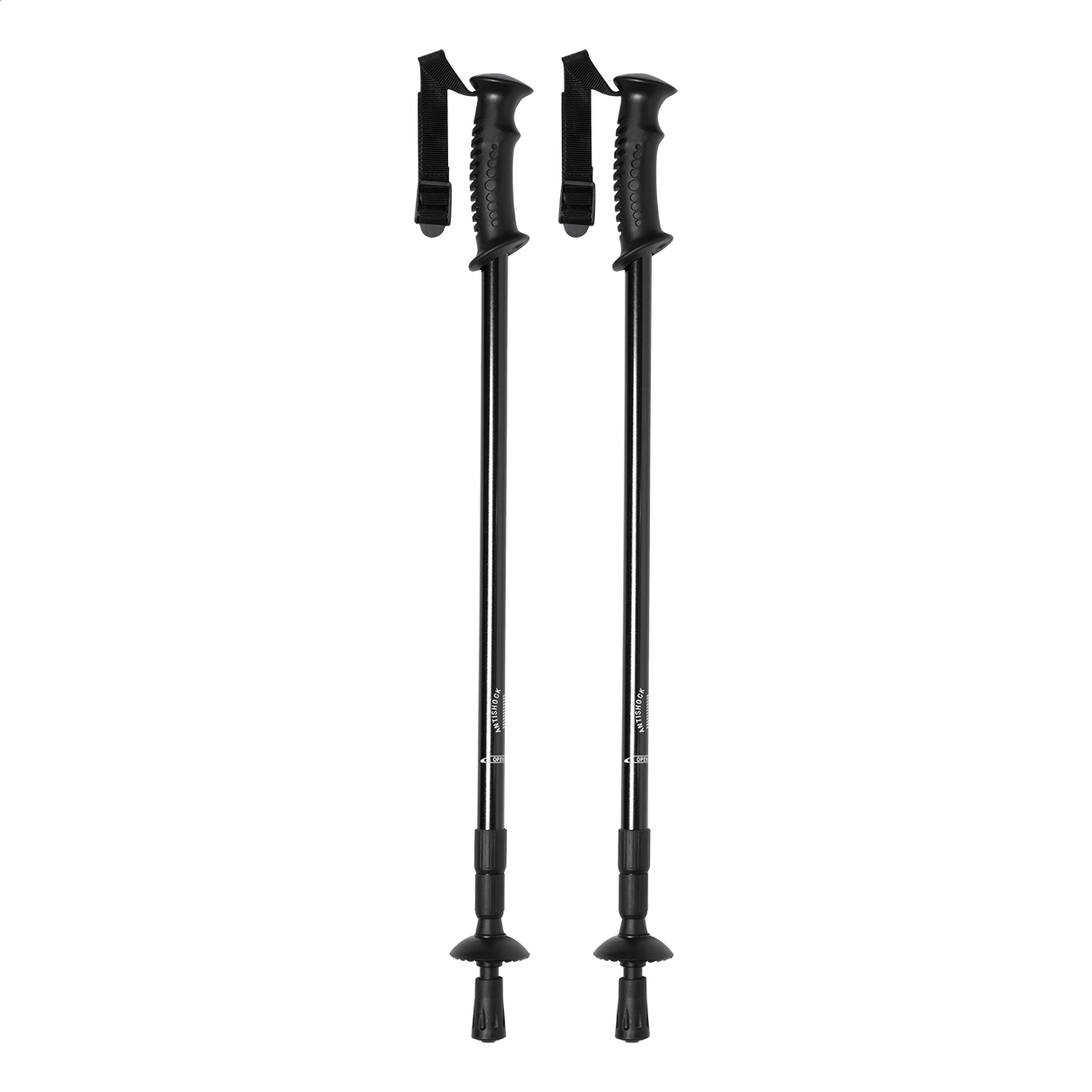 Immagine Pulpit bastone trekking nordico