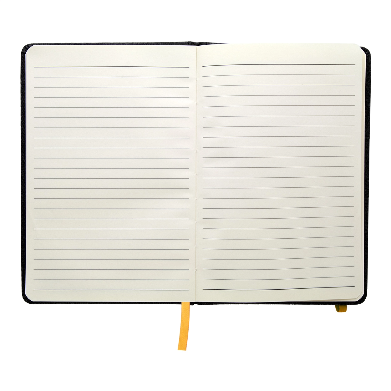 Immagine Andesite quaderno