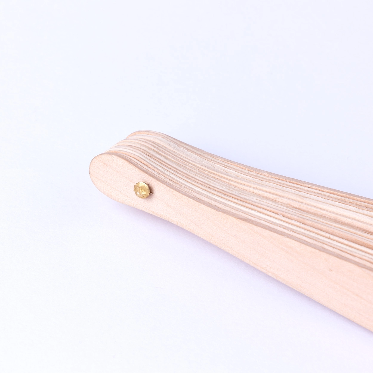 Immagine Gamasa ventaglio