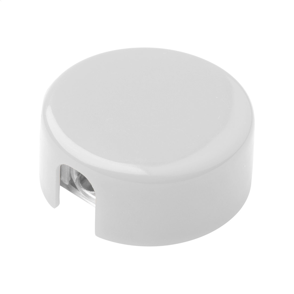 Immagine Spiked tempera matite