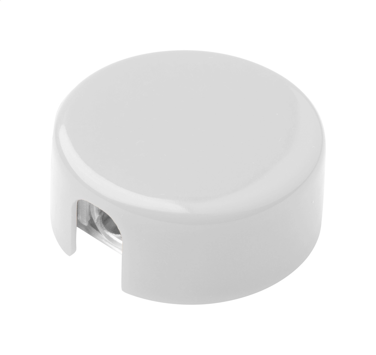 Immagine Spiked tempera matite