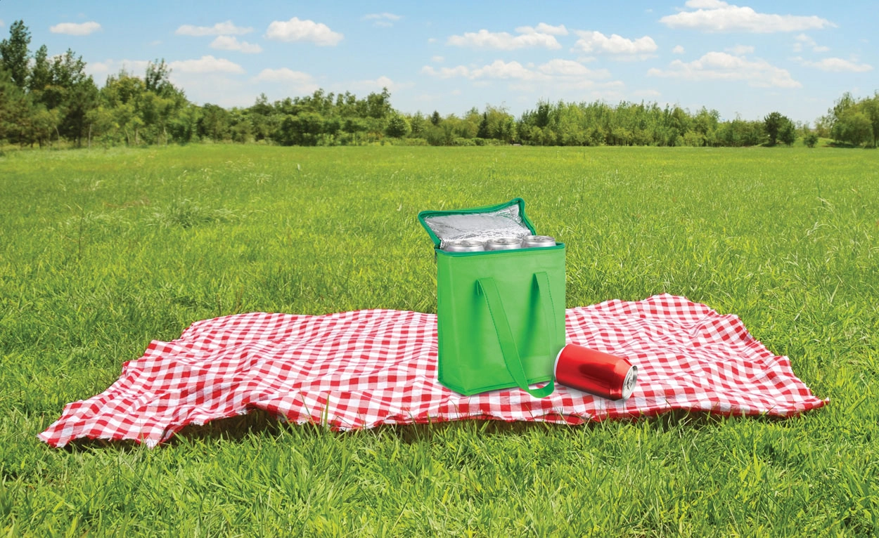 Immagine Fridrate borsa termica