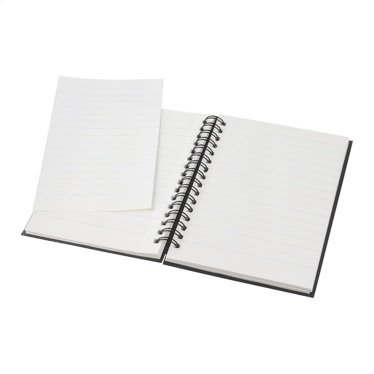 Immagine Cedrus A6 quaderno