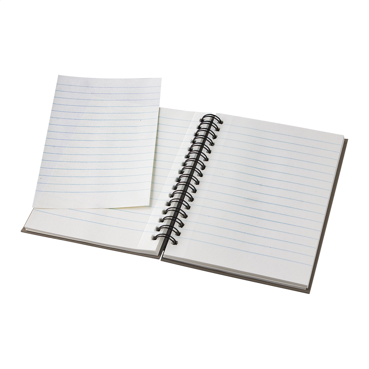 Immagine Cedrus A6 quaderno