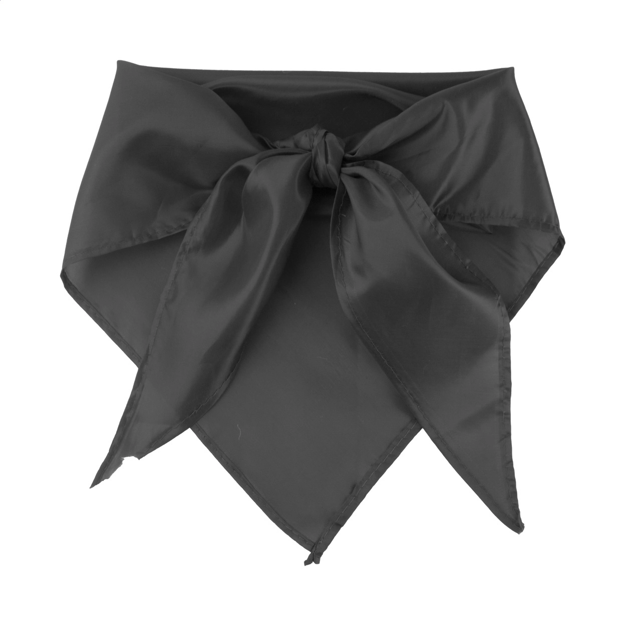 Immagine Capra sciarpa