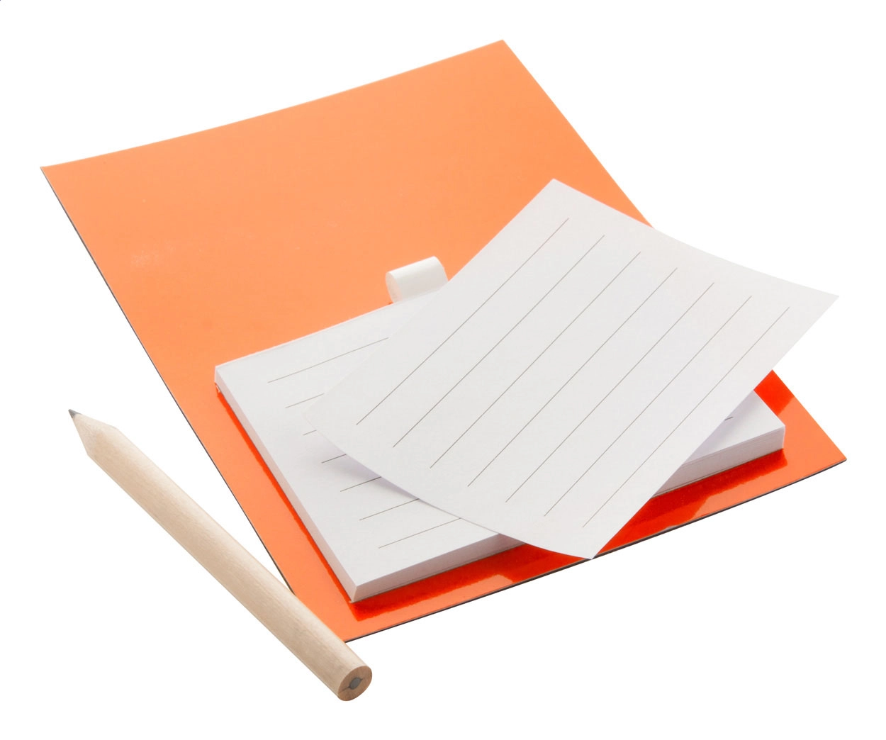 Immagine Pecfri blocco con magnete