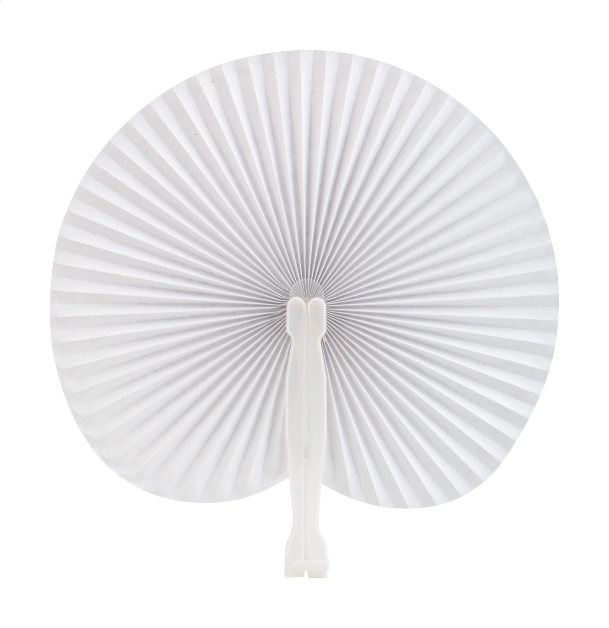 Immagine Vasto ventaglio