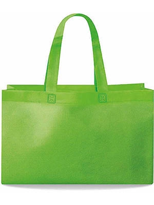 Immagine Shopper in tnt cm 32x20x9 AKITA
