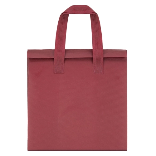 Immagine BORSA FRIGO 