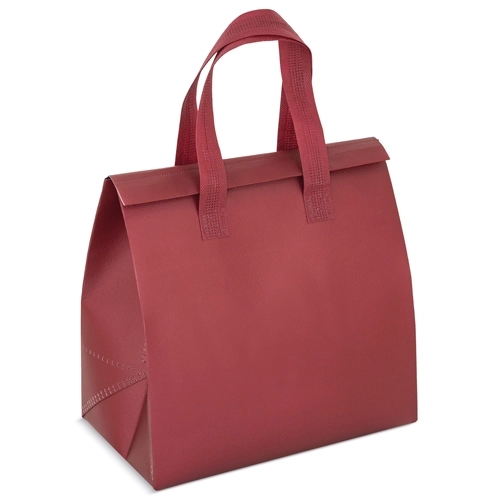 Immagine BORSA FRIGO 