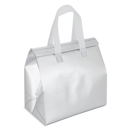 Immagine BORSA FRIGO 