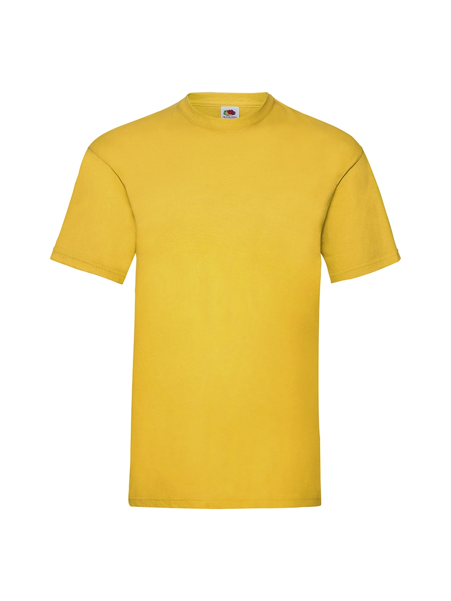 Immagine T-SHIRT UOMO MANICA CORTA VALUEWEIGHT
