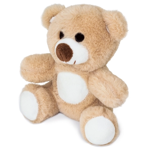 Immagine ORSACCHIOTTO 