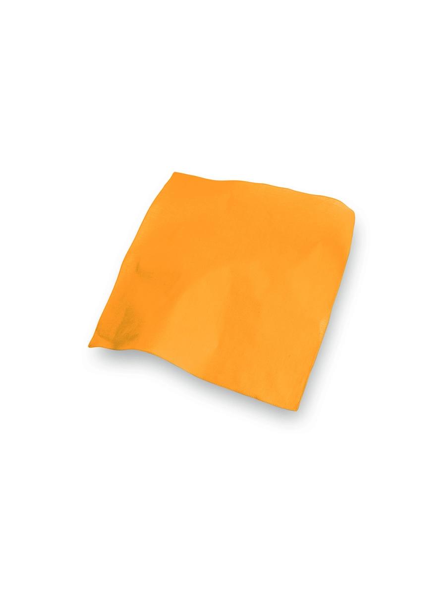 Immagine BANDANA QUADRATA