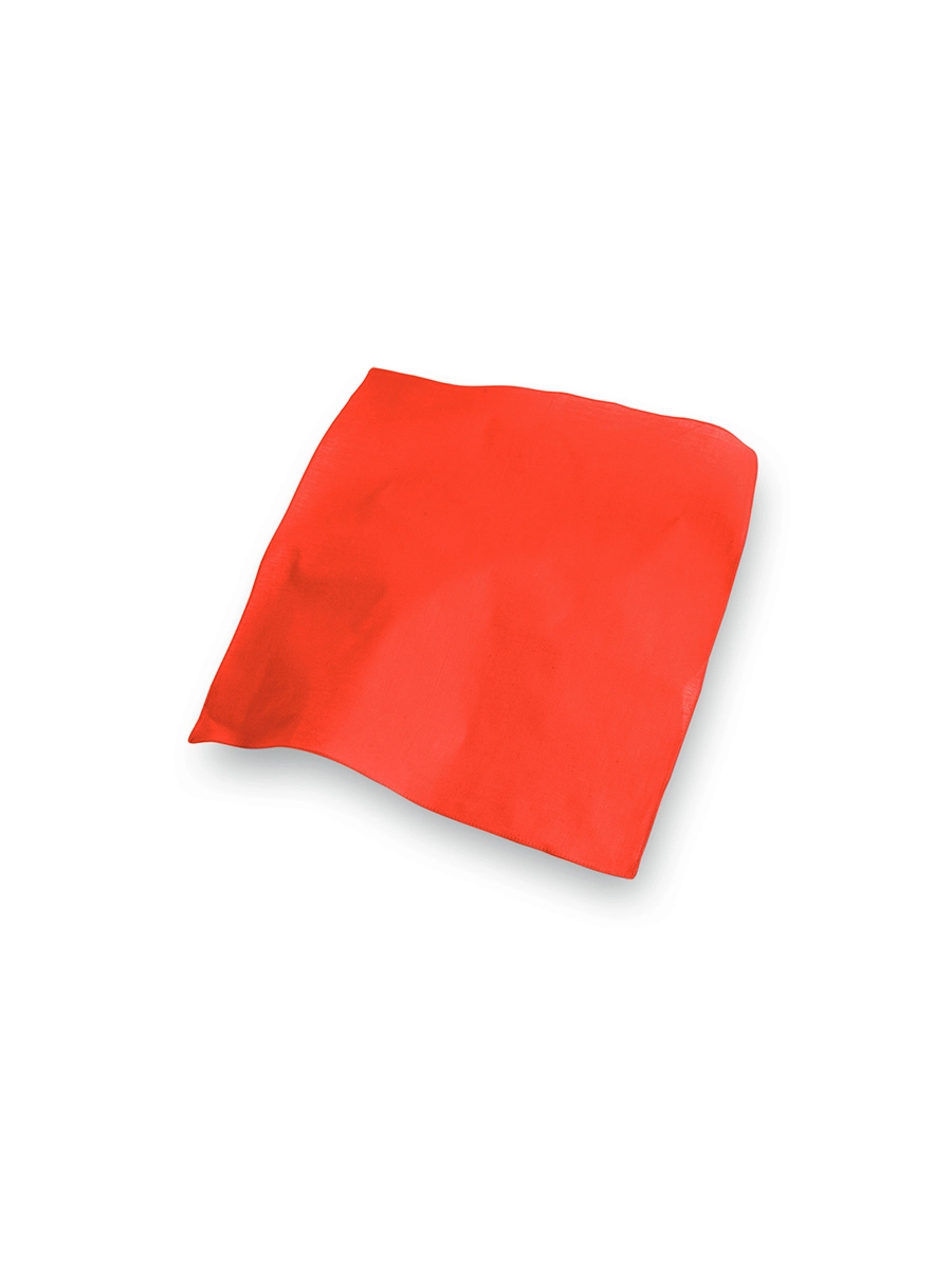 Immagine BANDANA QUADRATA