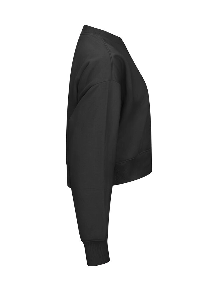 Immagine Miami Cropped