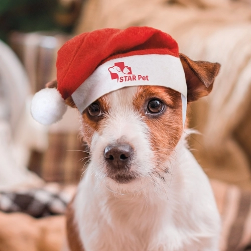 Immagine CERCHIETTO NATALIZIO PER MASCOTTE 