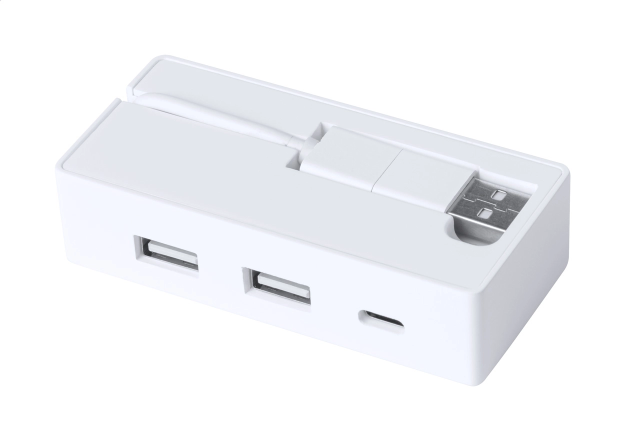 Immagine Bilkon USB hub in RABS