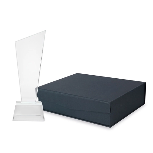 Immagine TROFEO VETRO 