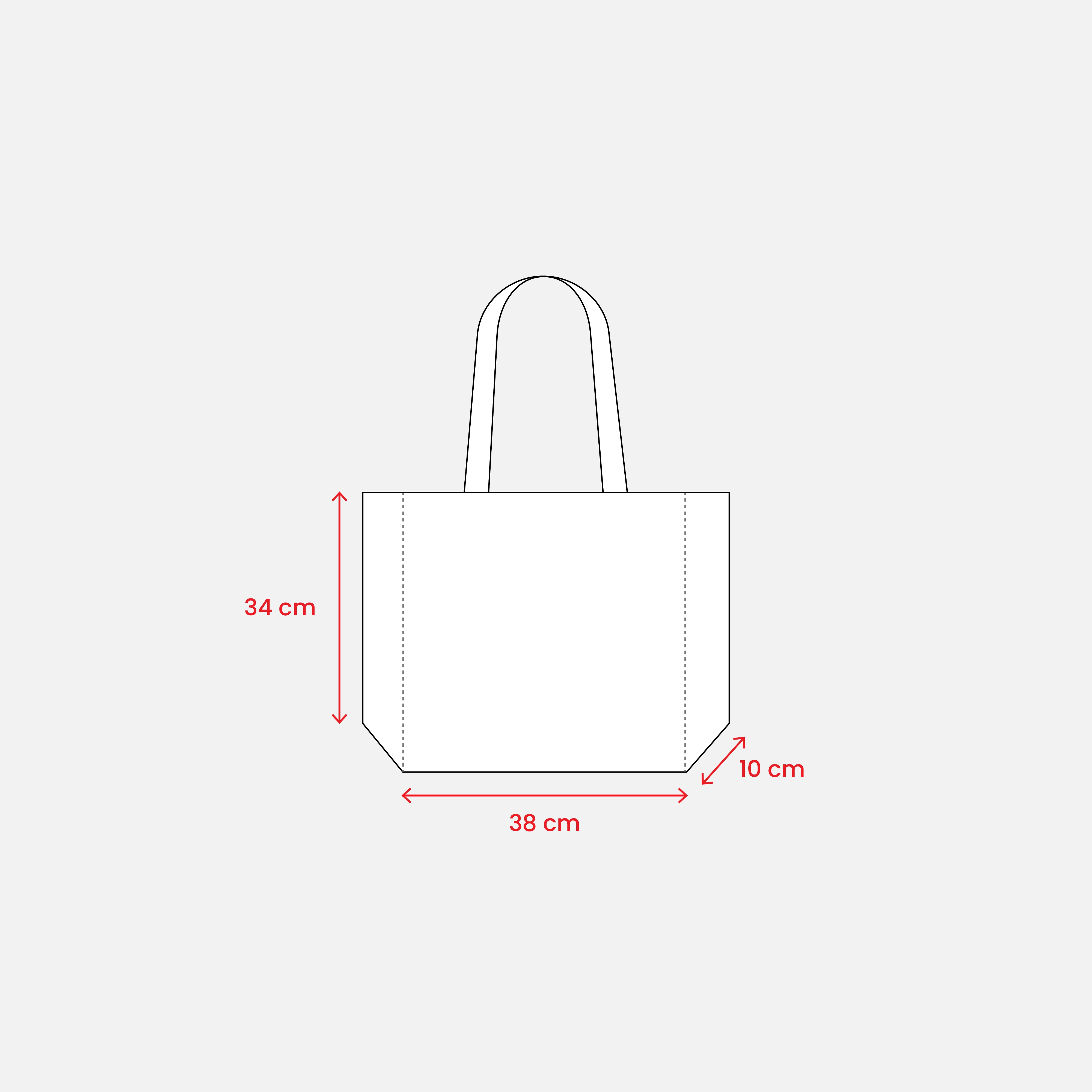 Immagine Shopper con soffietto in TNT 80 g/m2 termosaldato, manici lunghi