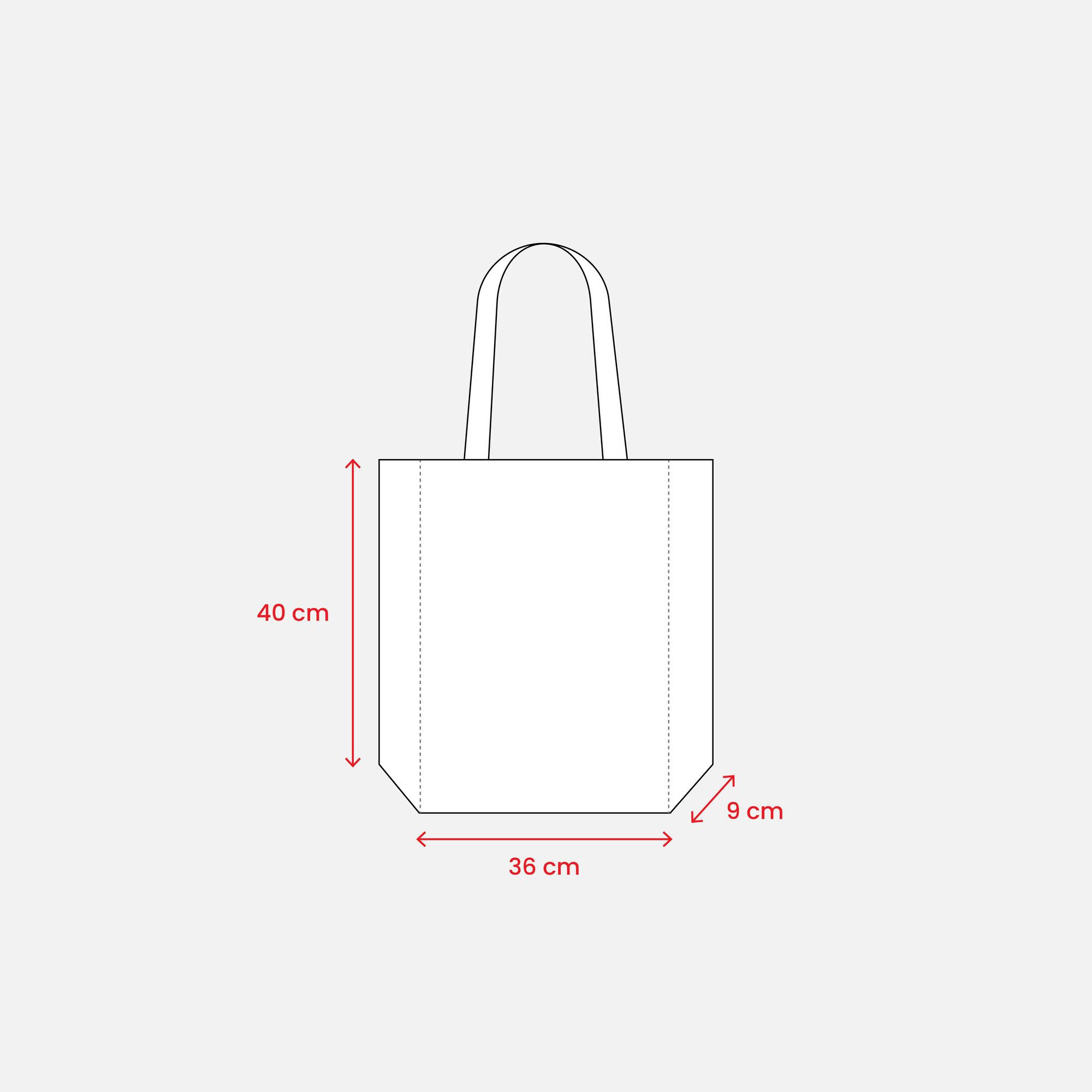 Immagine Shopper con soffietto in TNT 80 g/m2 termosaldato, manici lunghi