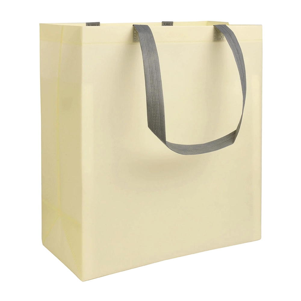 Immagine Shopper con soffietto in TNT laminato 100 g/m2 termosaldato, manici corti