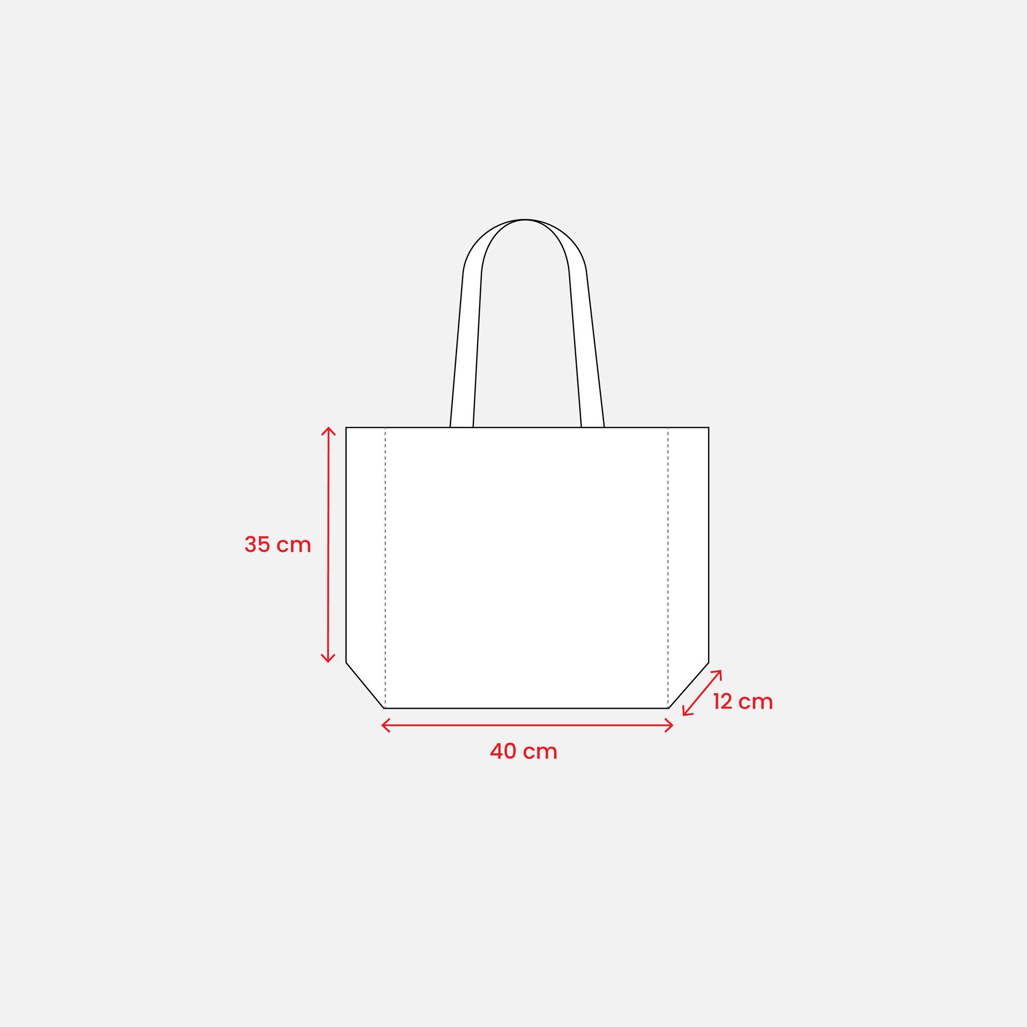 Immagine Shopper in TNT laminato, manici lunghi e soffietto