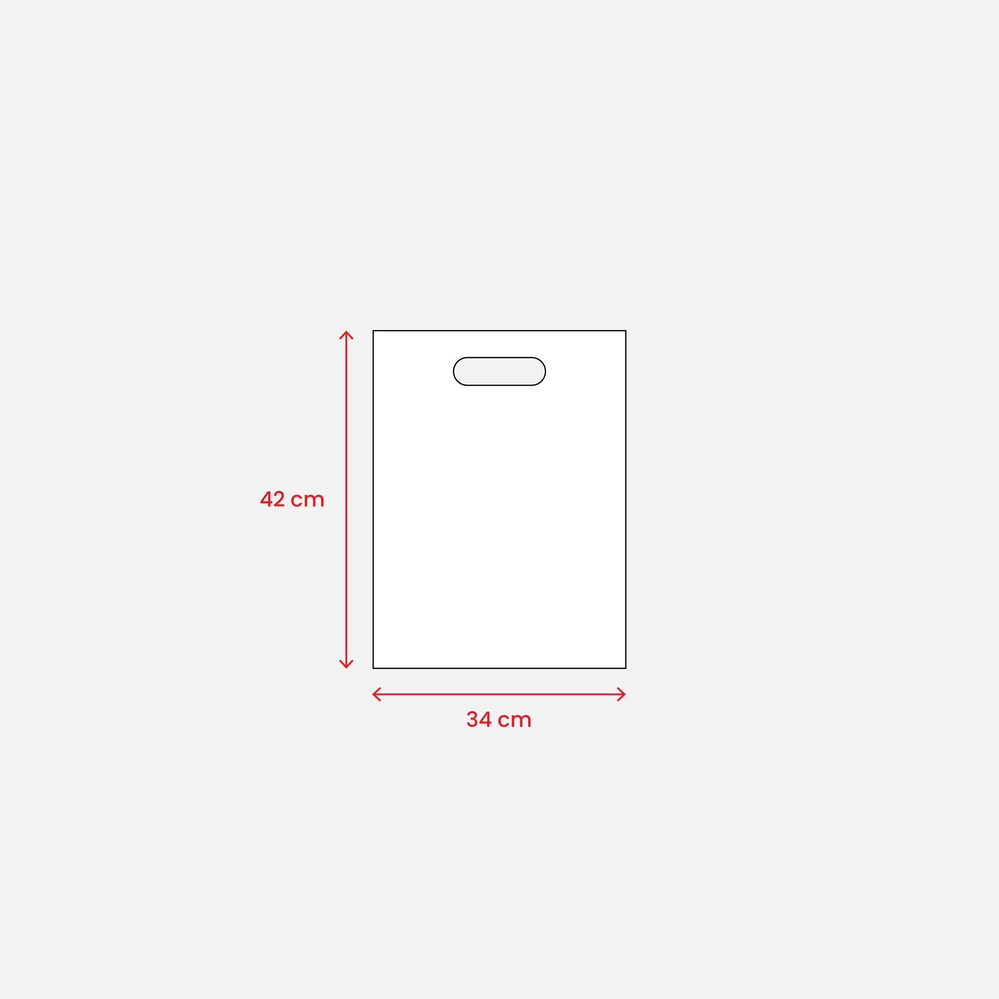 Immagine Shopper in TNT 80 g/m2 termosaldato