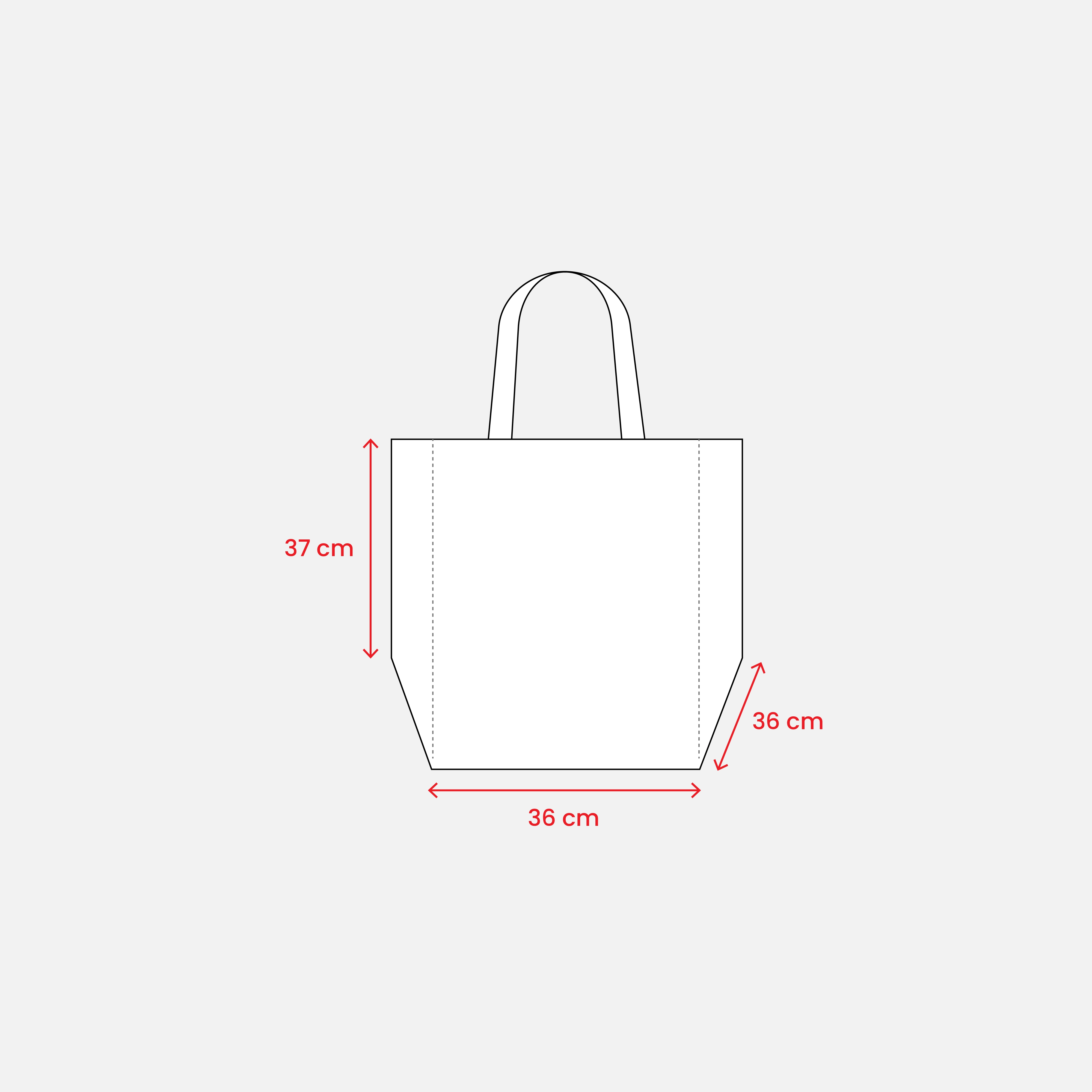 Immagine Shopper in formato cartone da pizza in TNT 80 g/m2