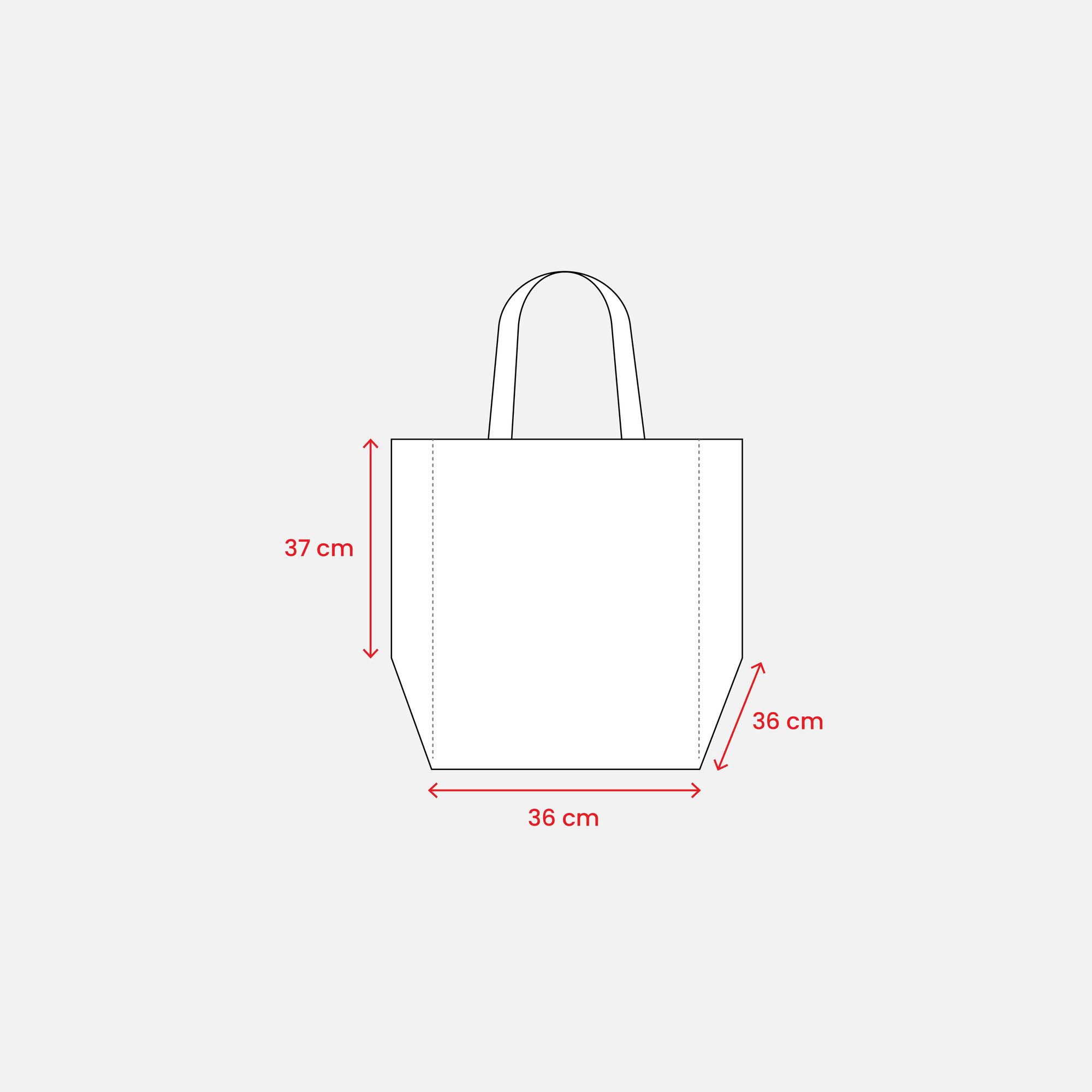 Immagine Shopper in formato cartone da pizza in TNT 80 g/m2