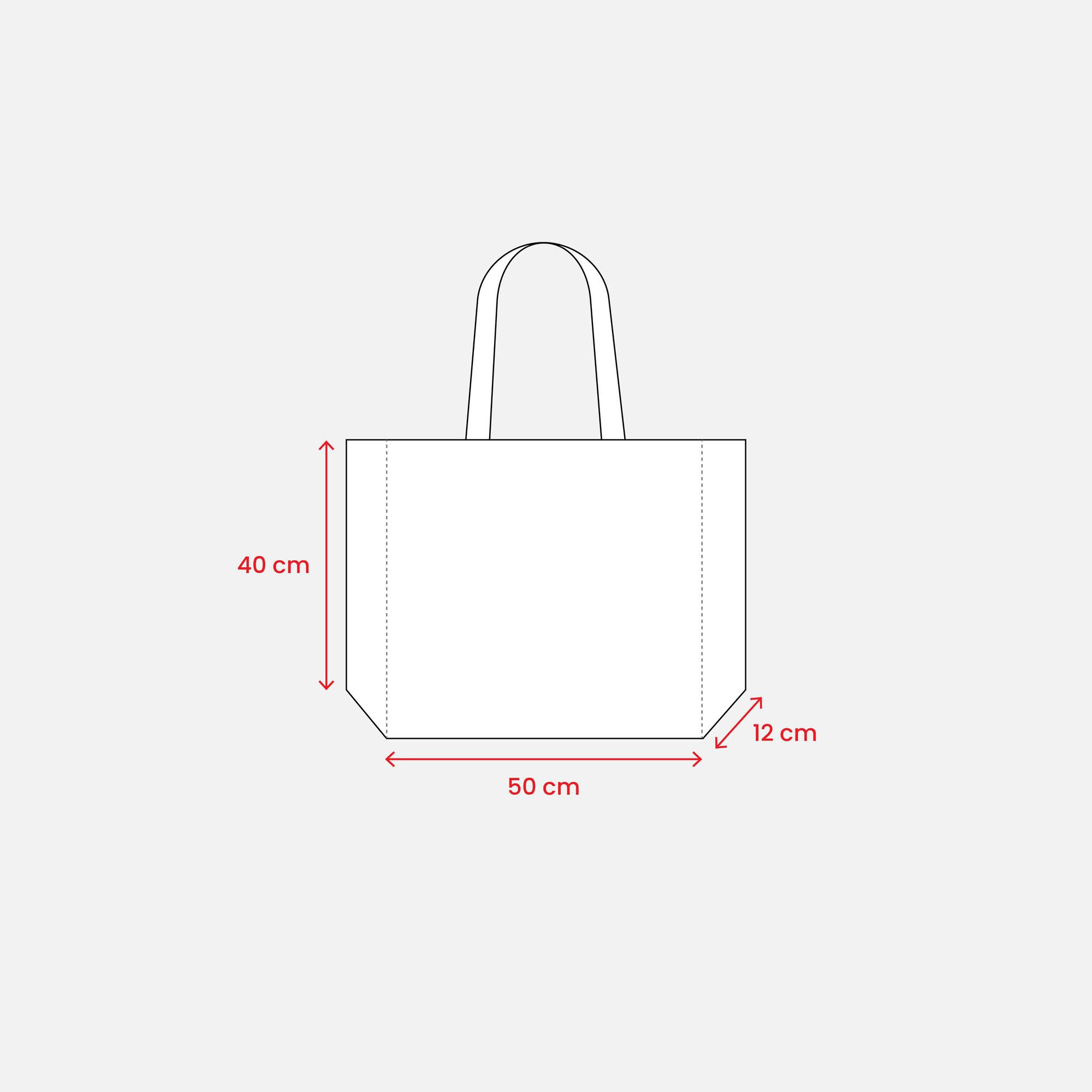 Immagine Shopper con soffietto in TNT cucito, manici lunghi