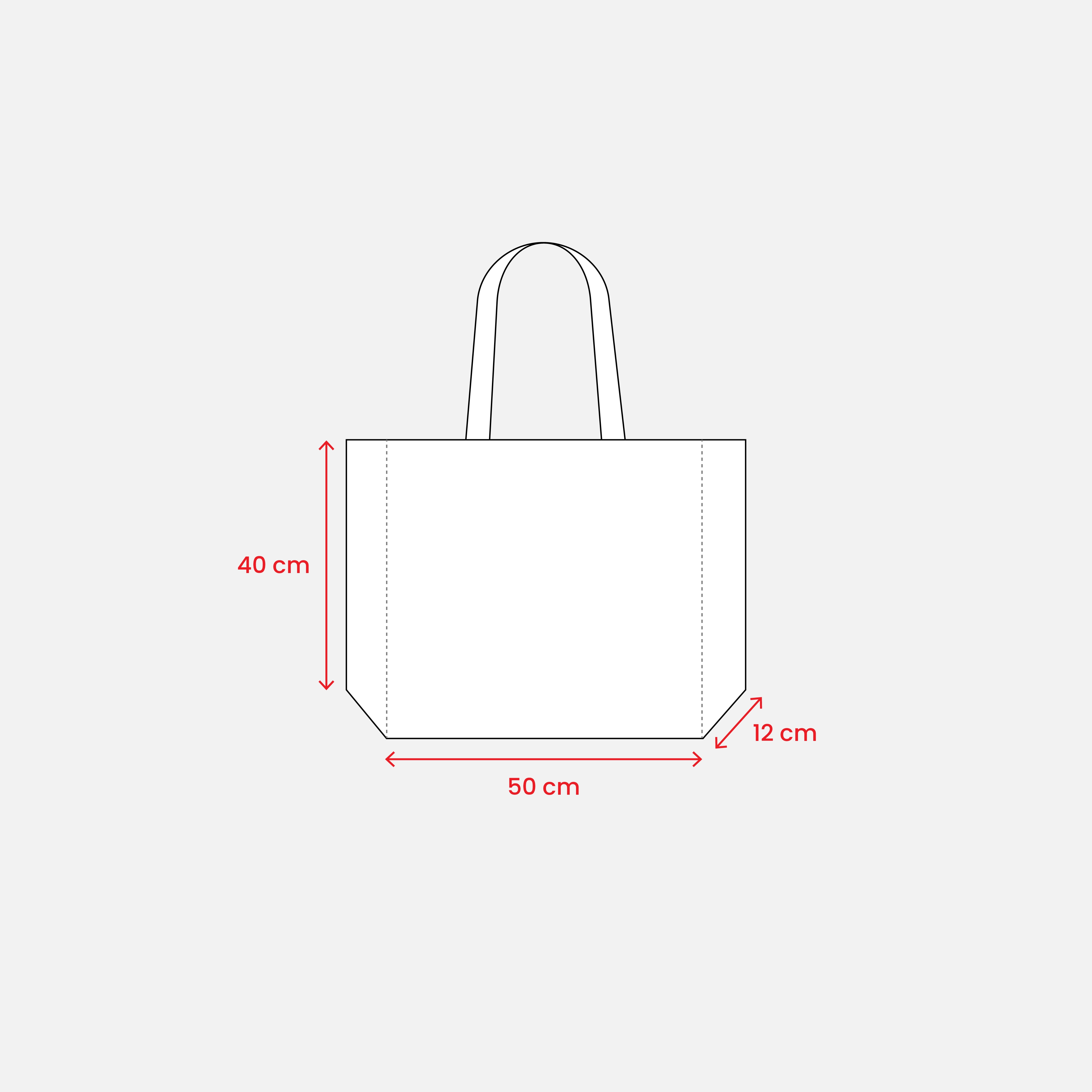 Immagine Shopper con soffietto in TNT cucito, manici lunghi