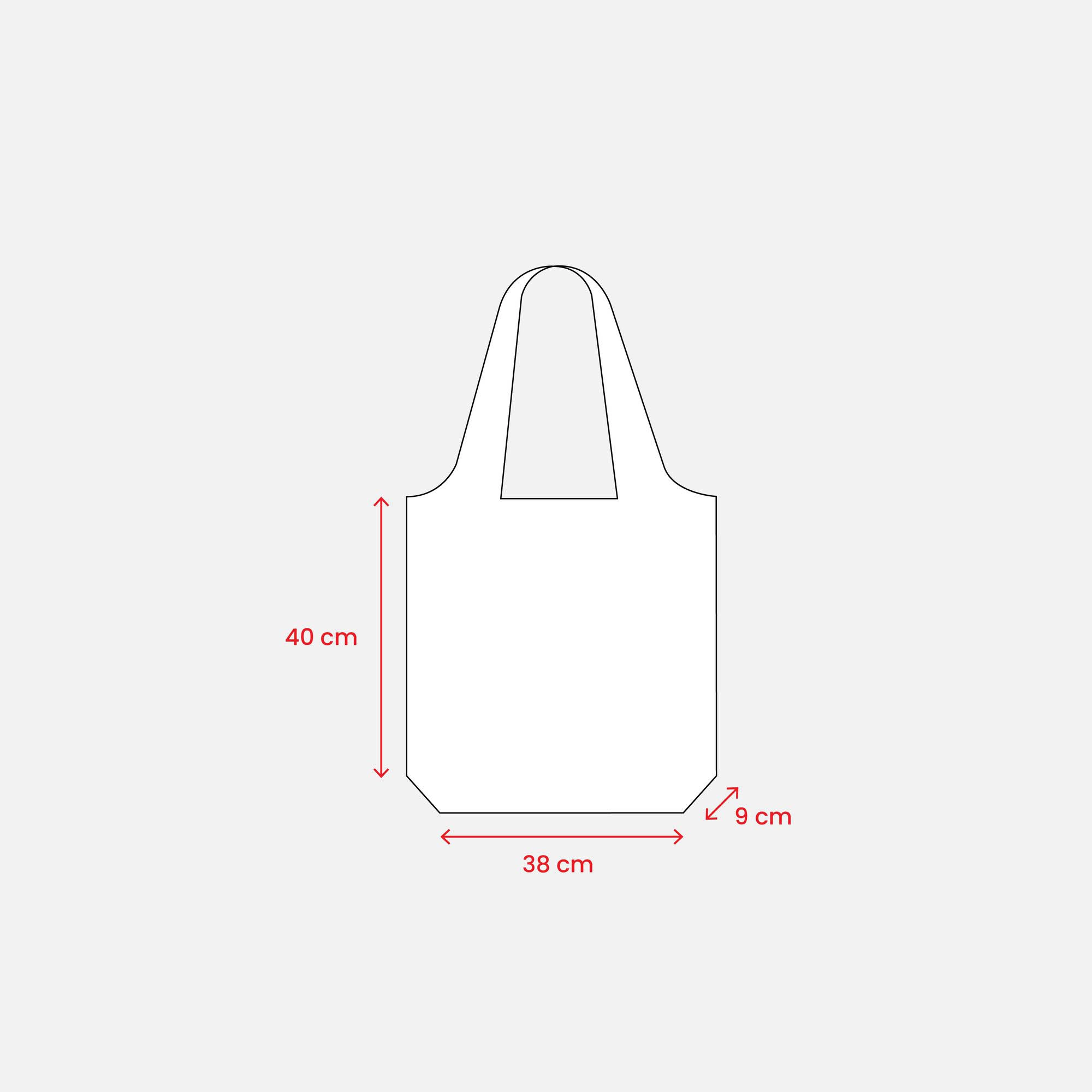 Immagine Shopper in RPET 210T ripiegabile