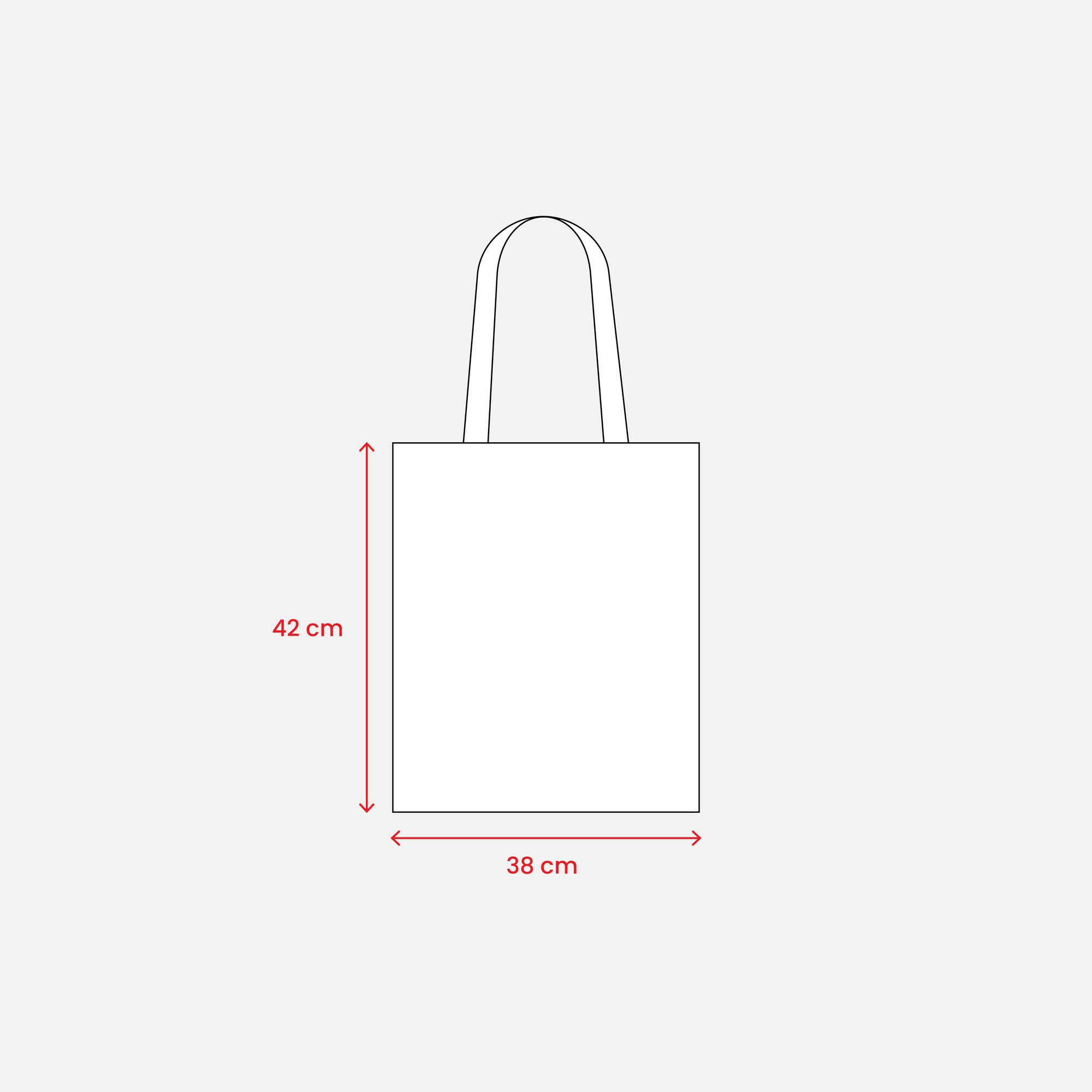 Immagine Shopper in TNT 70 g/m2 termosaldato, manici lunghi