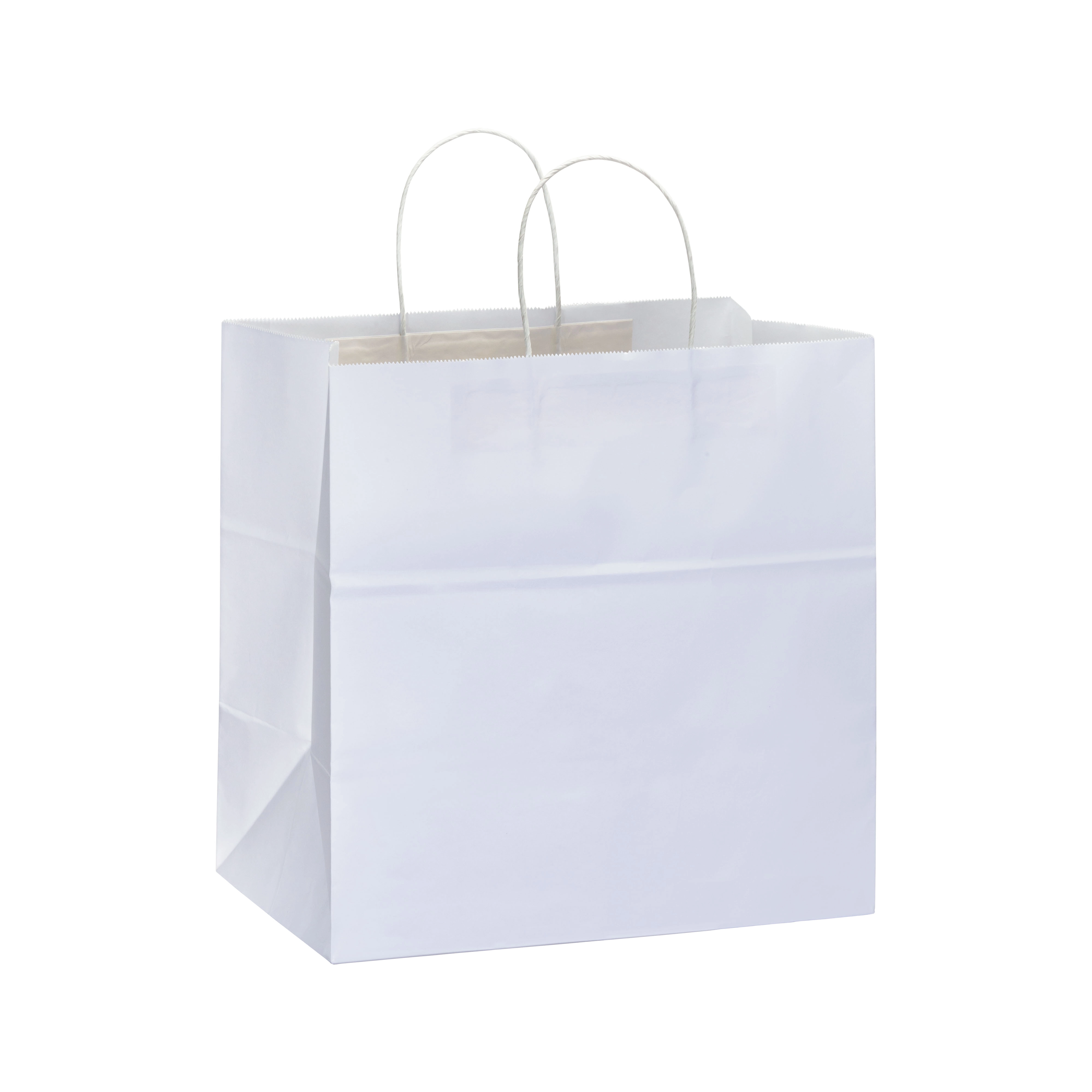 Immagine Shopper in carta 100 gr/m2 con soffietto