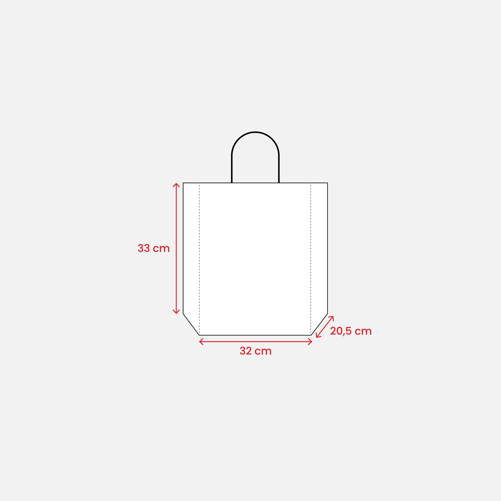 Immagine Shopper in carta 100 gr/m2 con soffietto