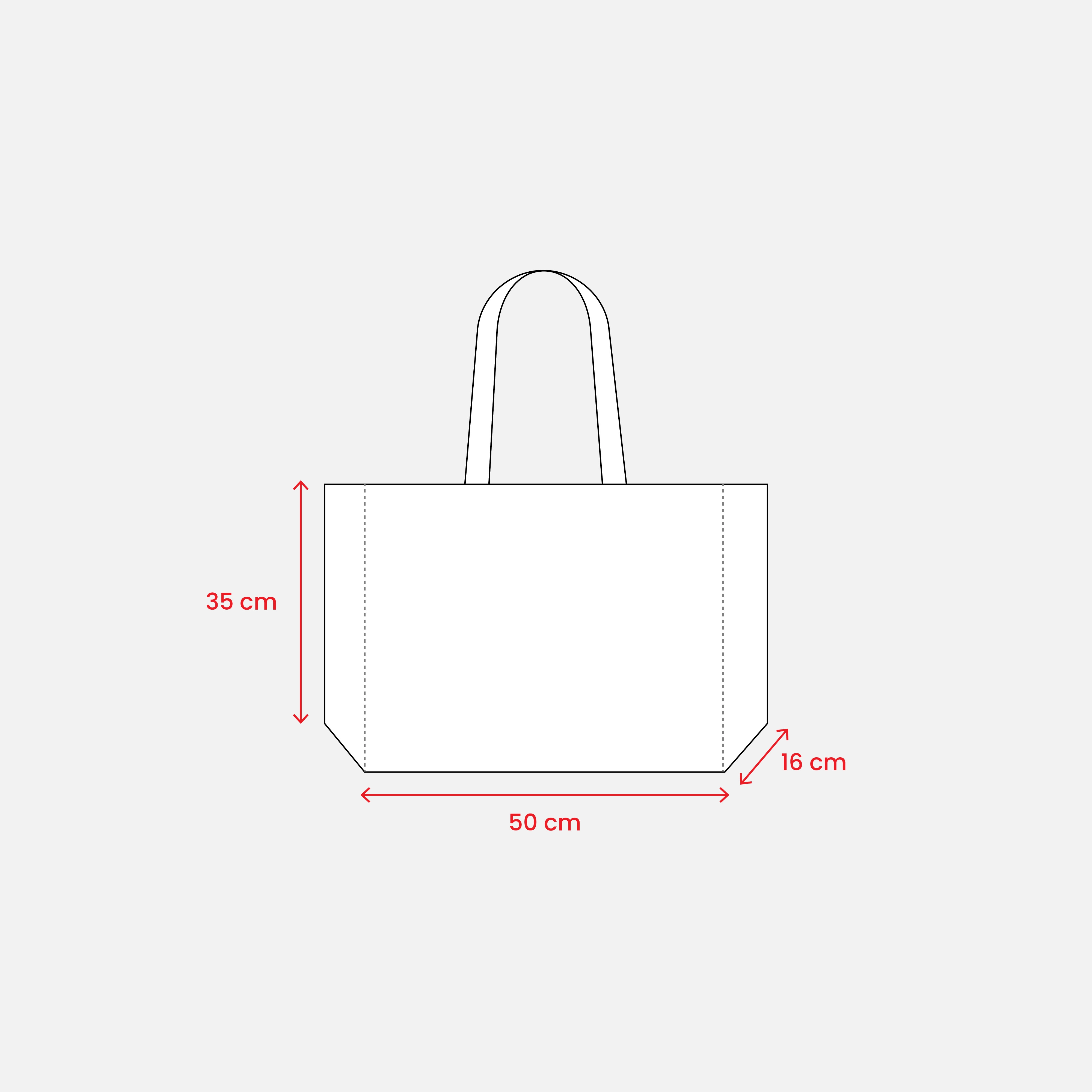 Immagine Borsa shopper in PET riciclato da 100 g/m2 (TNT R-PET) termosaldata