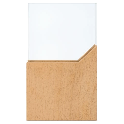 Immagine TROFEO VETRO/LEGNO 