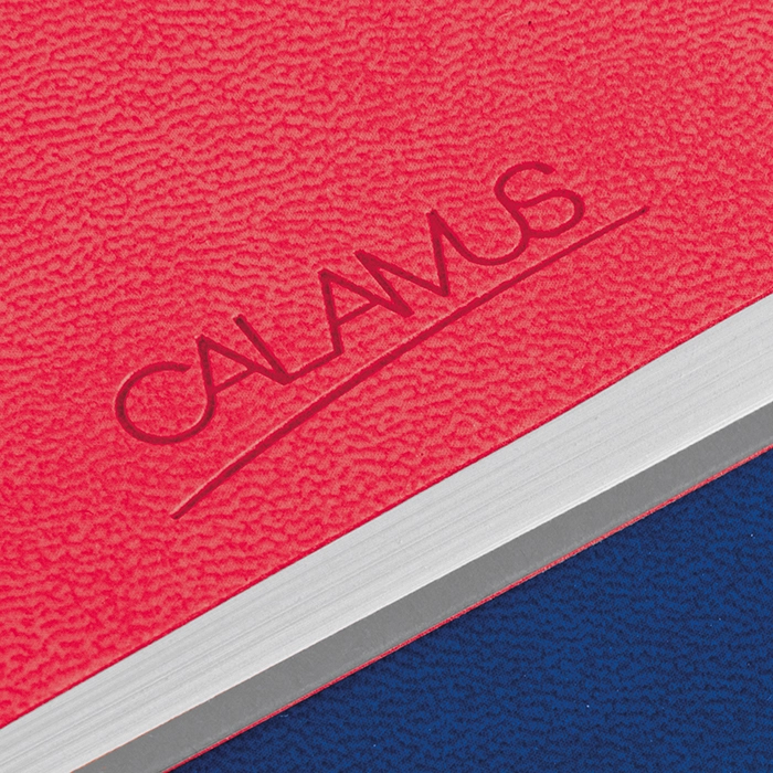 Immagine NOTES INFINITY