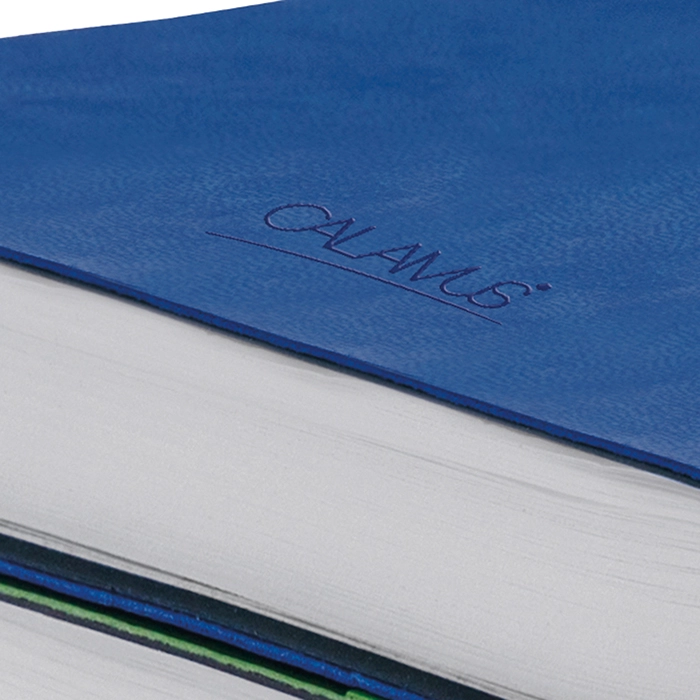 Immagine NOTES INFINITY