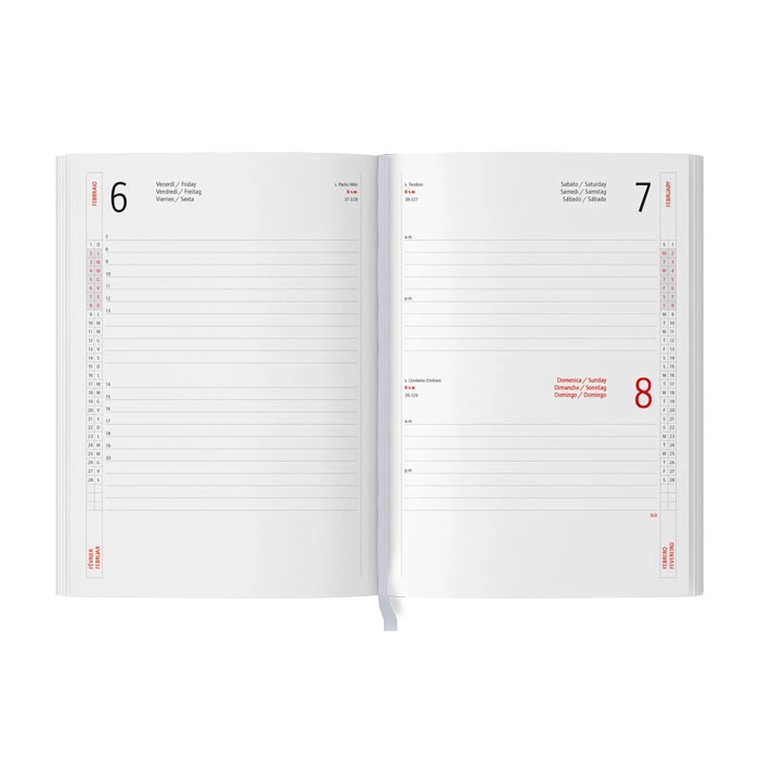 Immagine AGENDA GIORNALIERA IN TAM