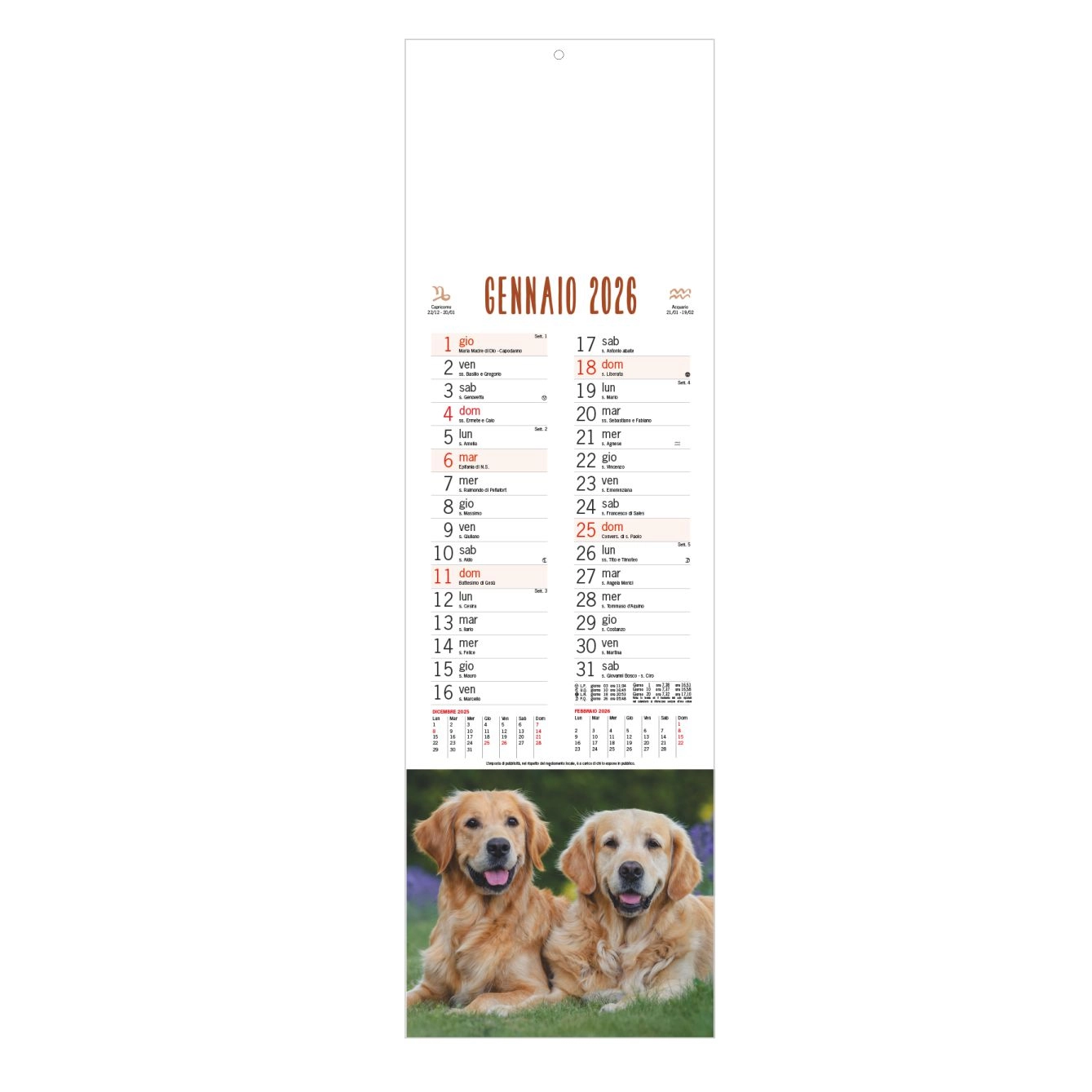 Immagine B071 - CALENDARIO CANI E GATTI
