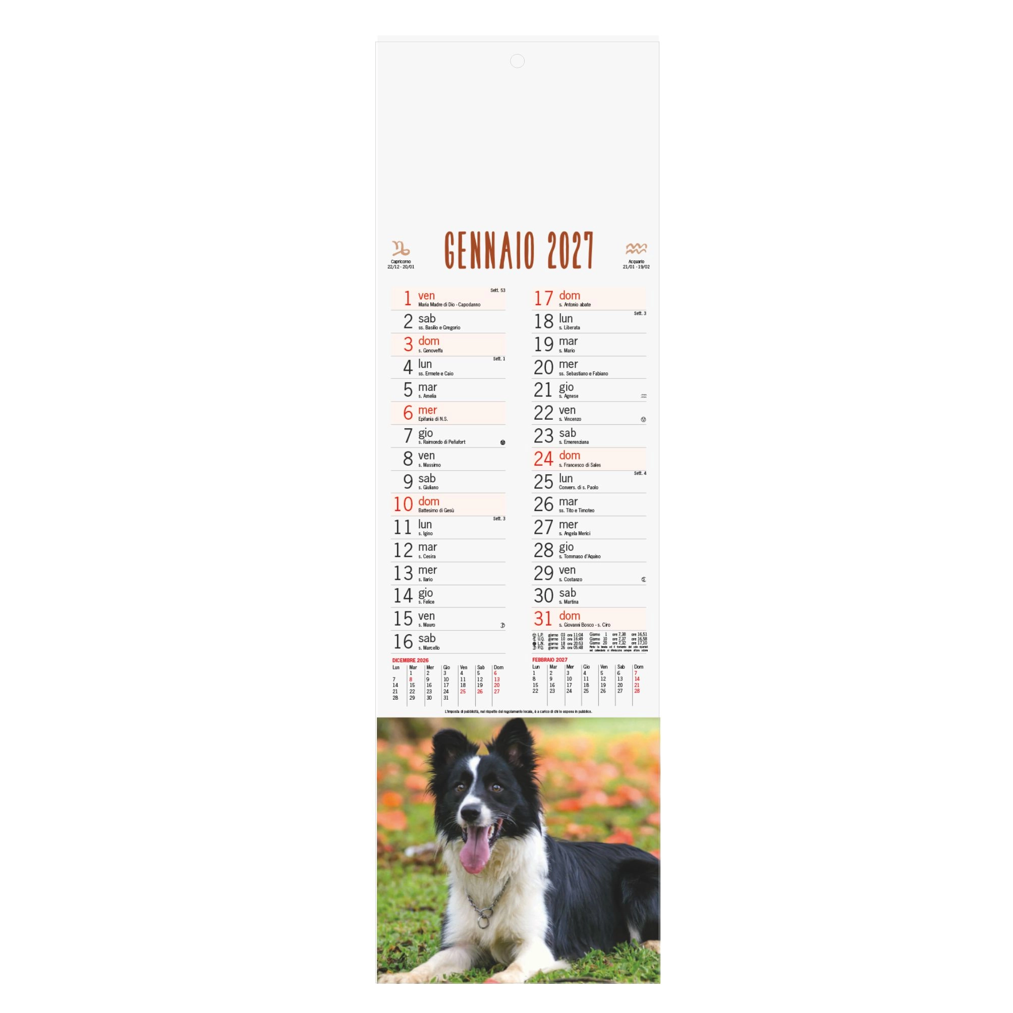 Immagine B071 - CALENDARIO CANI E GATTI