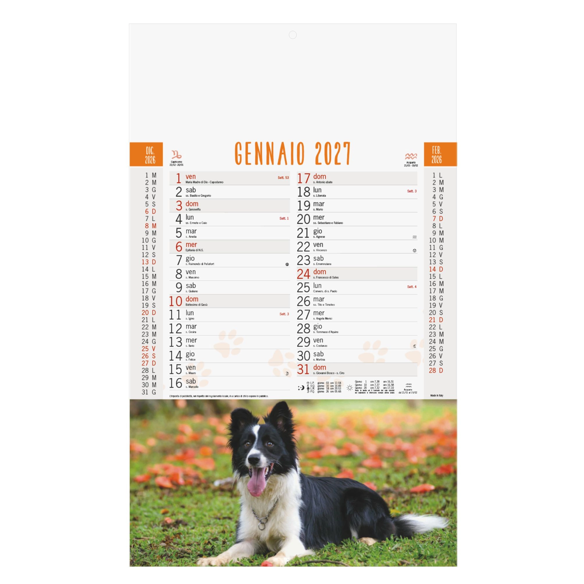 Immagine B077 - CALENDARIO CANI E GATTI