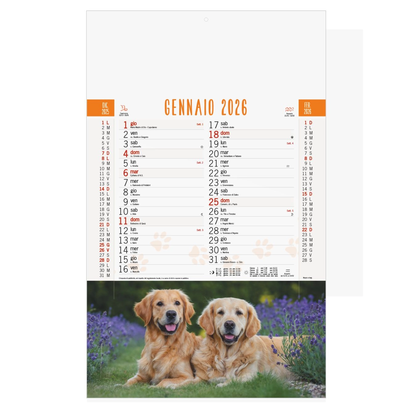 Immagine B077 - CALENDARIO CANI E GATTI