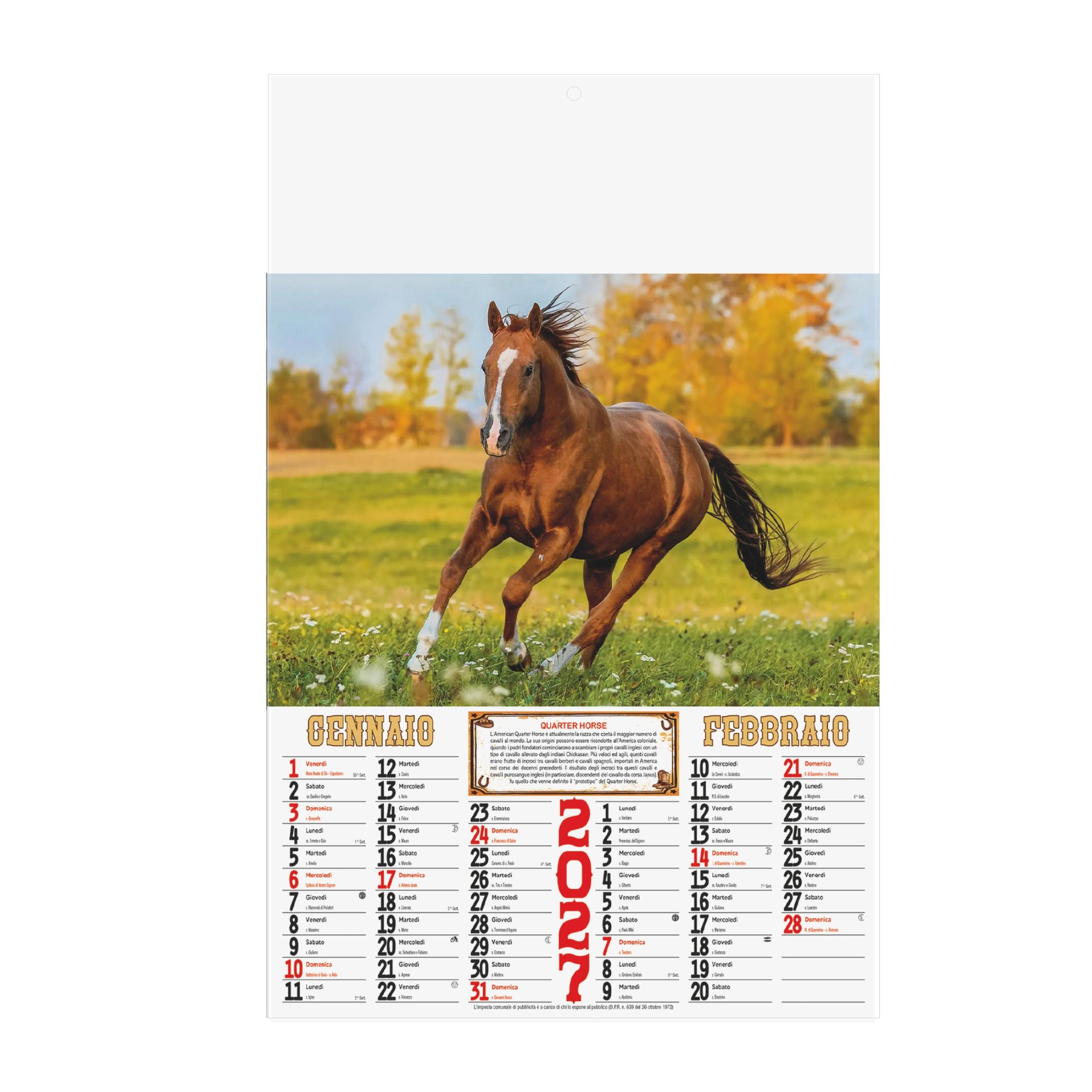 Immagine B043 - CALENDARIO CAVALLI 
