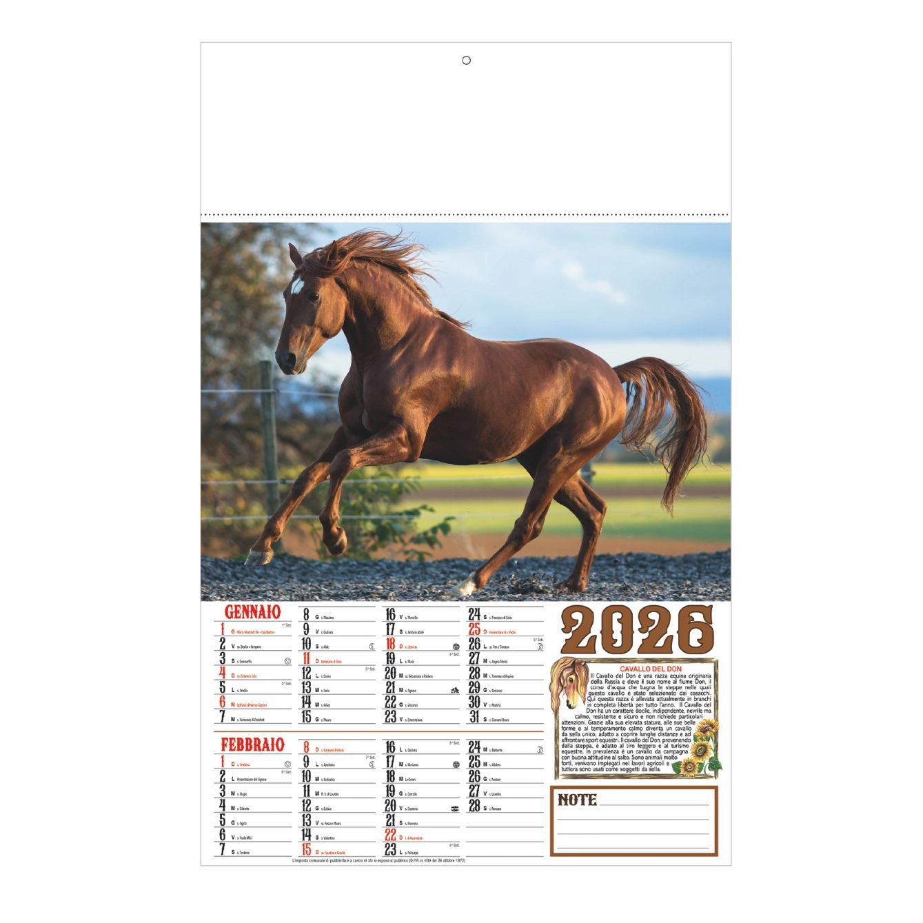 Immagine B043 - CALENDARIO CAVALLI 