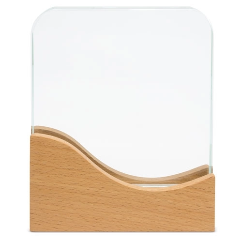 Immagine TROFEO MODELLO RETTANGOLARE 