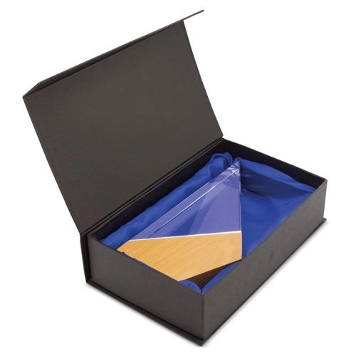 Immagine TROFEO MODELLO 